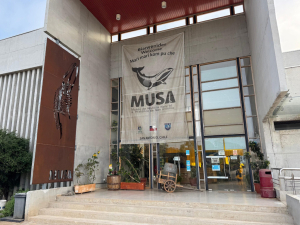 Exhibici&oacute;n &ldquo;Esp&iacute;ritu Bato&rdquo; llegar&aacute; a San Antonio con una experiencia cultural, de memoria e identidad