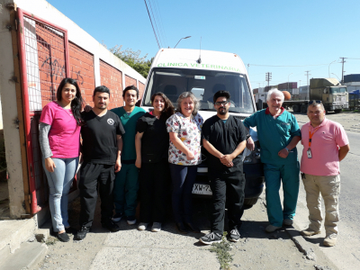 Veterinarios de Con Con y Quillota visitaron San Antonio