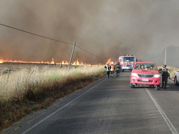 Municipalidad San Antonio gestiona ayuda a los afectados por incendios forestales