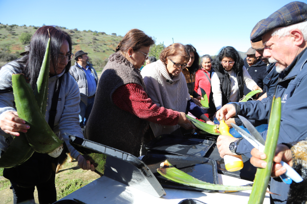 Municipio fortalece desarrollo productivo de agricultores de Cuncum&eacute;n a trav&eacute;s de capacitaci&oacute;n agroecol&oacute;gica