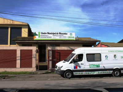 Cl&iacute;nica Veterinaria M&oacute;vil de la Municipalidad de San Antonio recorre la comuna entregando sus servicios
