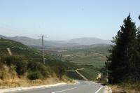 Llaman a licitaci&oacute;n de transporte p&uacute;blico rural para el tramo San Antonio &ndash; El Asilo