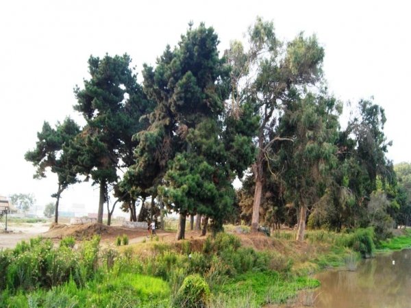 Aprueban reposici&oacute;n del Parque &nbsp;&ldquo;DYR&rdquo; al&nbsp; Municipio