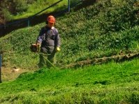 &ldquo;OMIL&rdquo;  de San Antonio ofrece muchas "pegas"