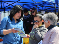 Municipio en Terreno se realizar&aacute; en Llolleo Alto